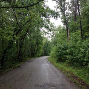 Day 11.Muddy Pond Road