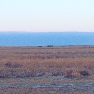 2015-11-26 08.24.20-1