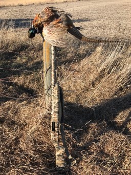 File Dec 28, 4 36 15 PM